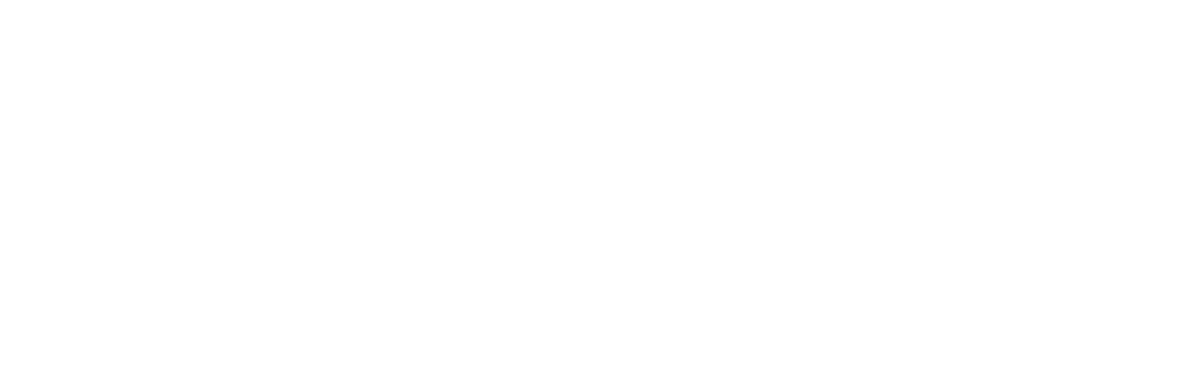 logo blanco siscode